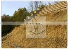 nice water reed for roof thatching