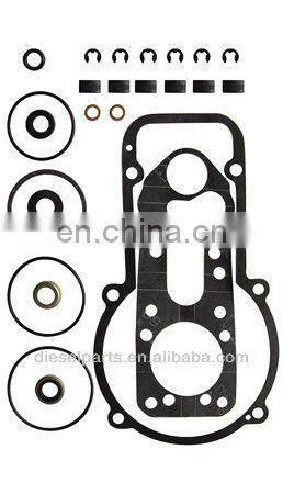 BJAP Injection Pump Repair kit 800858