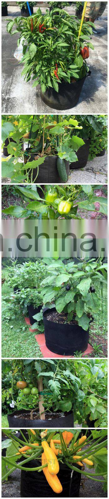 geotextile planting grow bag with felt material