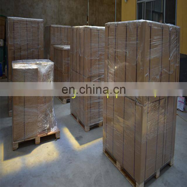 OEM 317901 C433 LE1774 SA19522 SL81309 Vacuum pump air filter