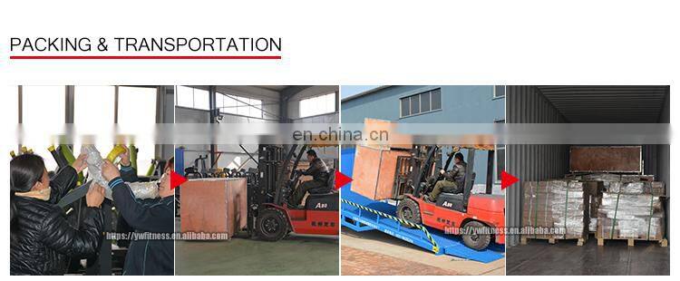 High quality professional bodybuilding equipment YW-1732 45 Degree biceps curl