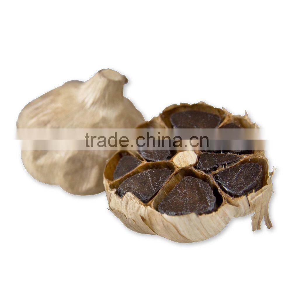 new product black garlic