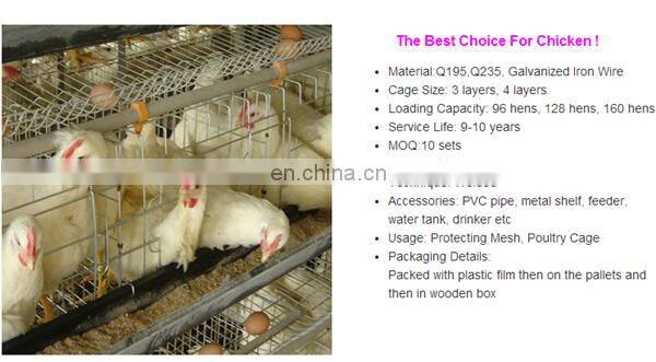 Automatic Cage System Chicken Farm Poultry Equipment