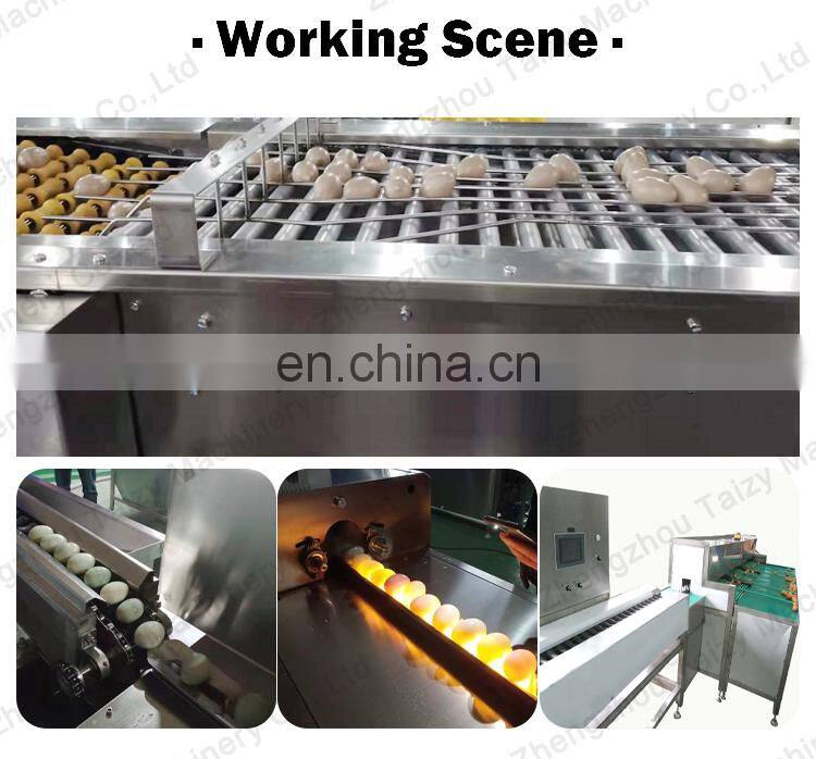10000Pcs/H Egg Sorting Machine For Sale Vacuum Lifter Egg Grader Candling Machine