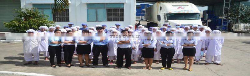 High quality Vietnam w240 cashew nut