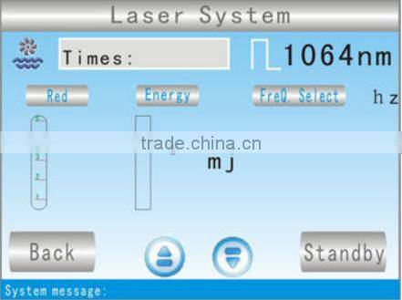 Long pulsed ND YAG laser for tattoo removal