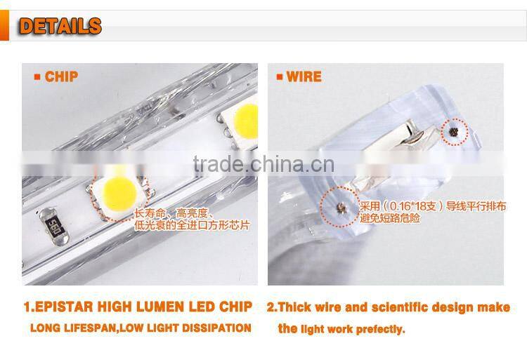 Hot Sale Waterproof IP65 220V/110V LED Strip RGB CE&RoHs Approved