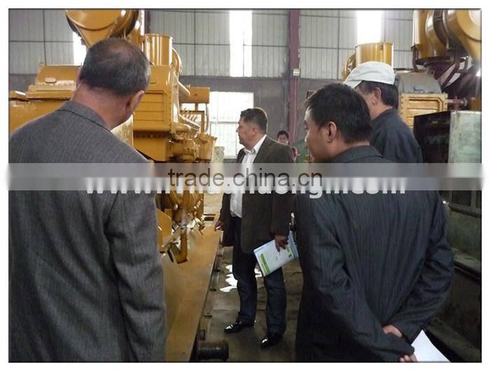 Global warranty High efficient CE ISO Approved Best lpg gas generator price