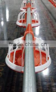 broiler ground raising equipment chicken house