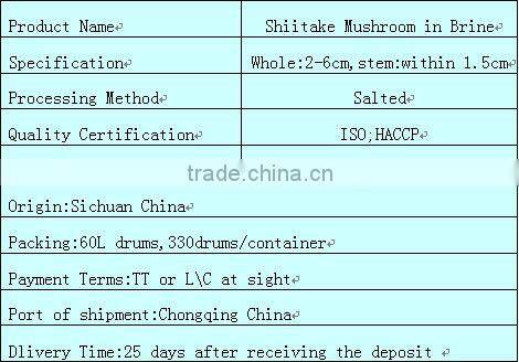 Brined Shiitake Mushroom