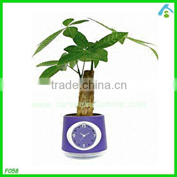 6 inch flower pots , decorative plant pots indoor