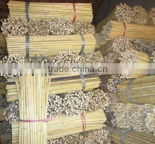 Homestar Cheap Bamboo Fence Designs / Natural cheap Roll bamboo fence For Sale
