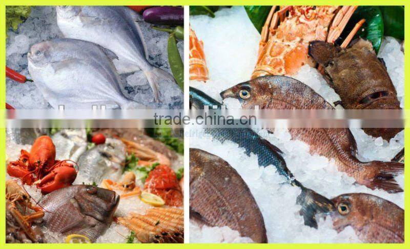 10tons Plate Ice Making Machine for Food Processing