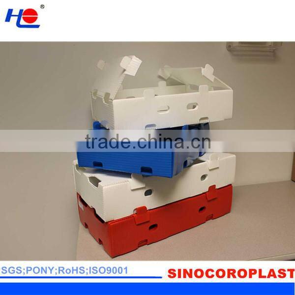 Foldable Plastic Fruit Box