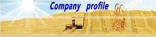 China Shandong 6.50-14 bias truck tire