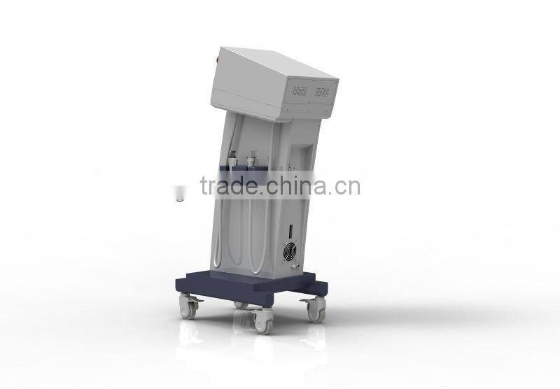 Newest technology newmeir rf fractional micro needle