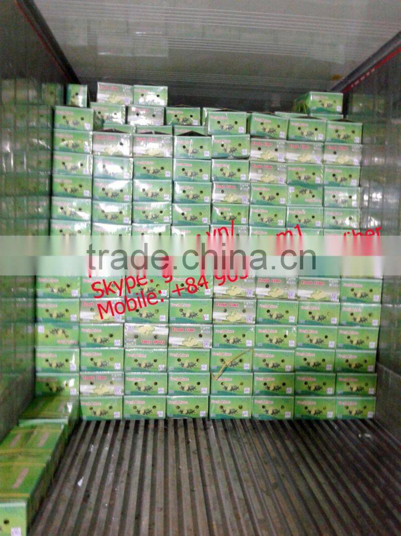 fresh lemon high quality seedless Gimex 2015