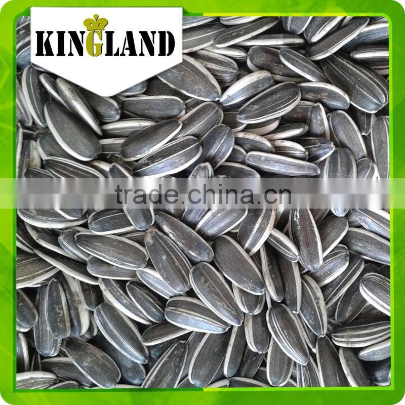 Big size, pink, peeled and hybrid sunflower seeds