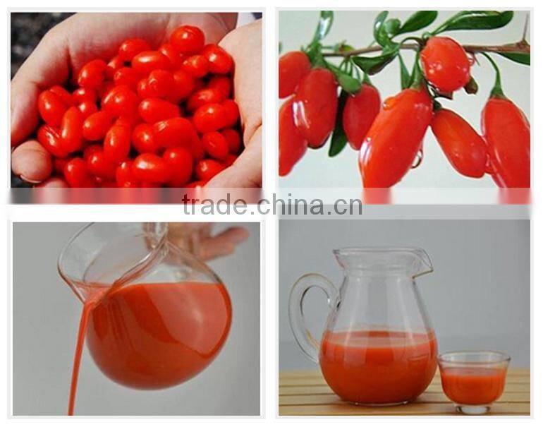 Production Tibet Goji Berry Juice