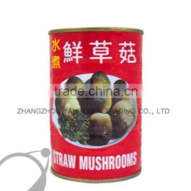 Best quality of brined straw mushroom for Europe