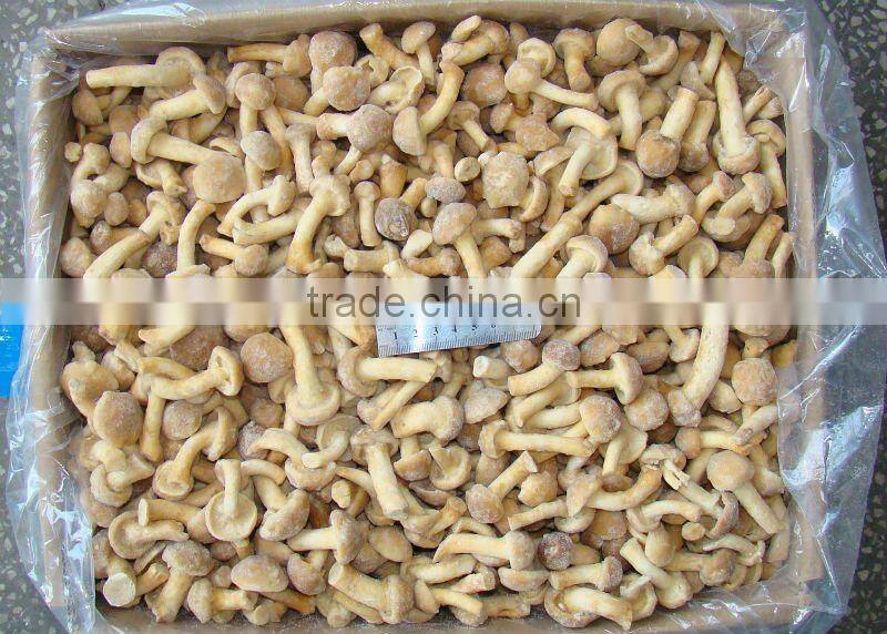 IQF nameko mushroom/frozen nameko mushrooms