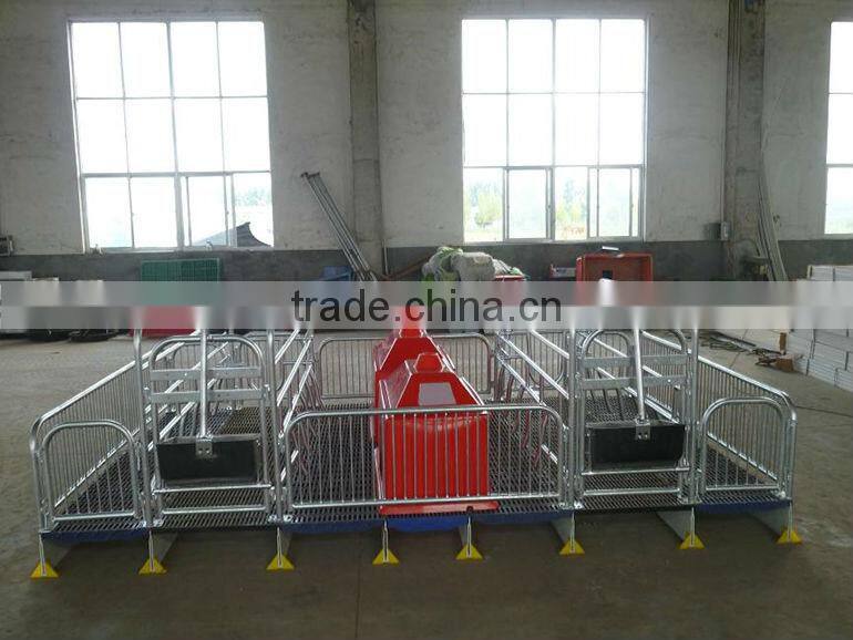 Farrowing Crates Feeder