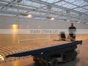 Agricultural / Horticultural Expanded Perlite / Insulation Perlite
