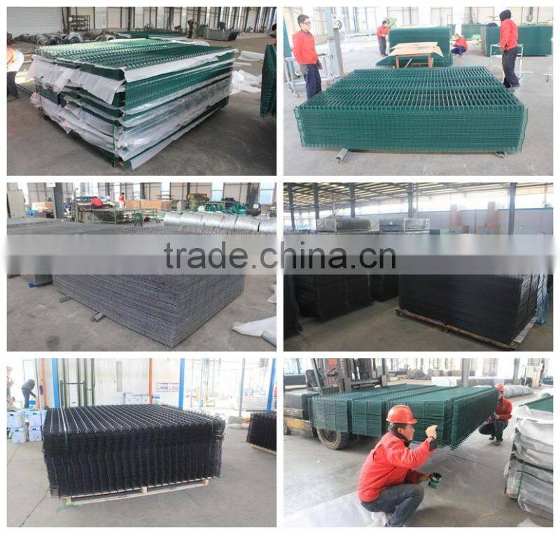 cheap 50*200 welded galvanized pvc coated wire mesh fence for backyard