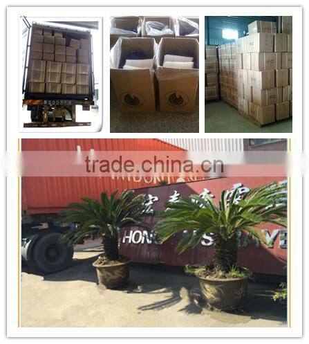 PP plastic cream airless bottle water mist pump spray airless