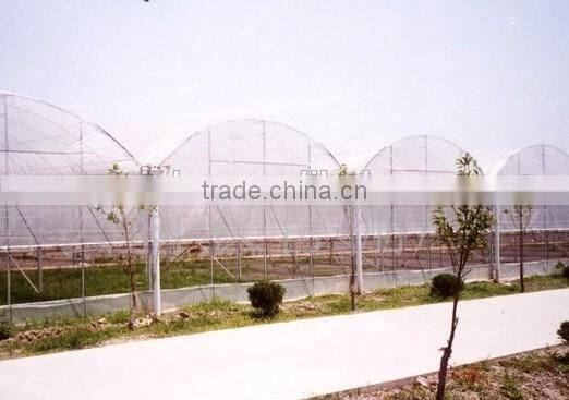 Arch in plastic greenhouse