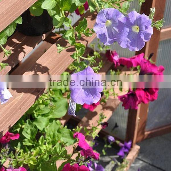 Wood Greenhouse, Garden Mini Greenhouse