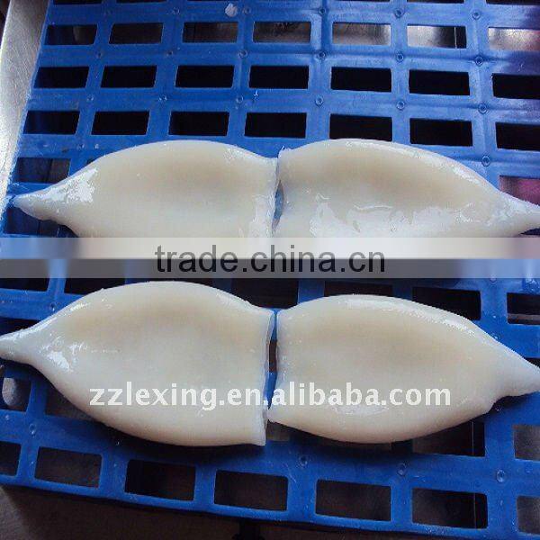 frozen squid tube u10