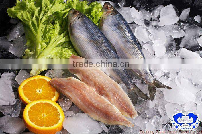 seafood frozen wild herring fillet
