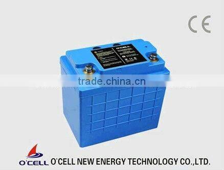 48V Lithium ion battery 48V20Ah LiFePO4 battery pack for golf trolley, E-scooter