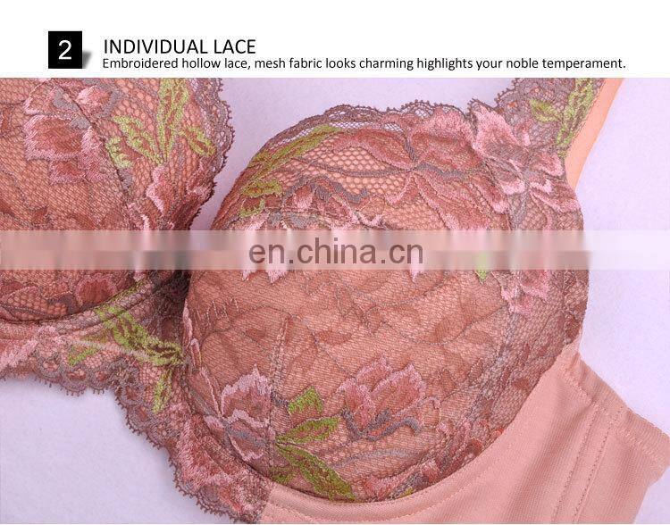 Hot Selling Pretty Pattern Female Spandex Hot Sell Sexy Madam Bra Underwear