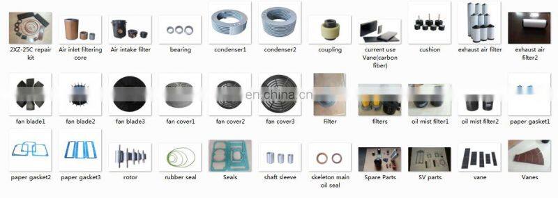 Promotion EVP brand replace busch series vacuum pump air filter and blade used in rotary vane pump