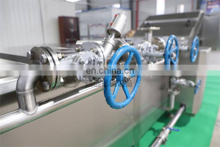 Automatic Vegetable Fruit Processing line fruit vegetable blanching machine