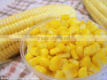 Grain Processing Machine