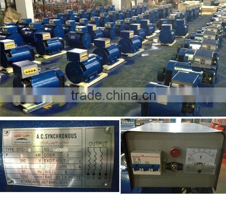 ST Series Single-phase A.C. Synchronous Alternative Energy Generator Spare Parts