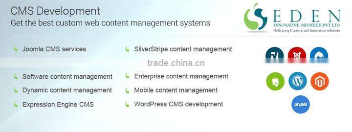 Wordpress web development