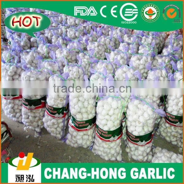 factory directly supply 2015 new crop normal white garlic