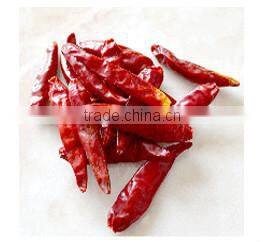 Big Size Chili Cutting Ring Chili Segment Chili Circle