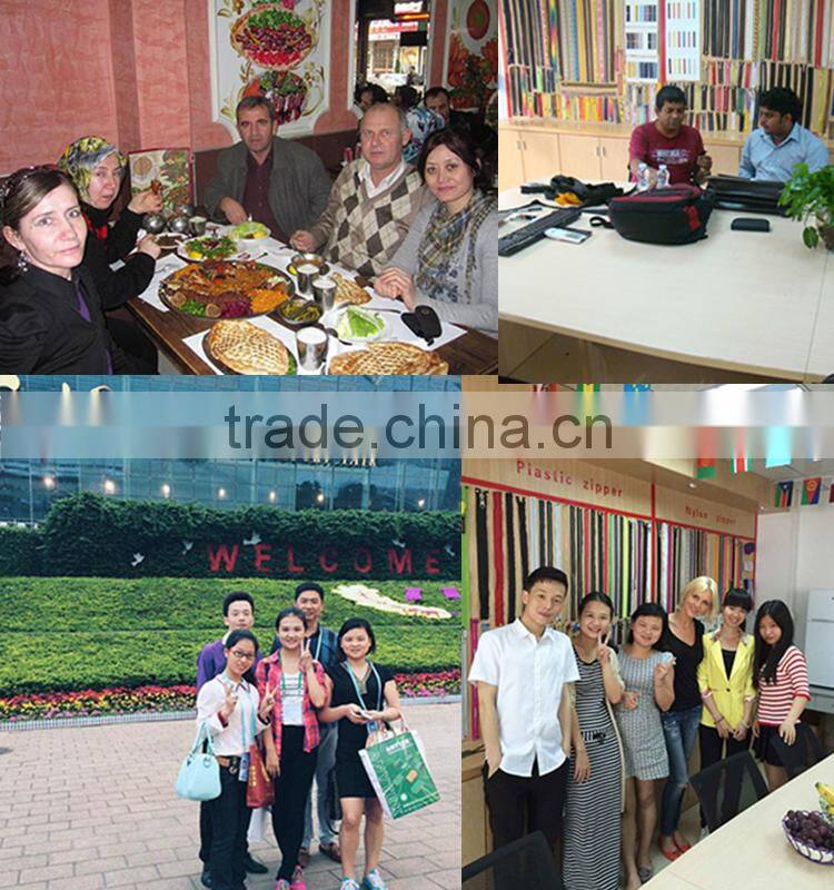 zipper factory wholesale clear pvc zipper for bag