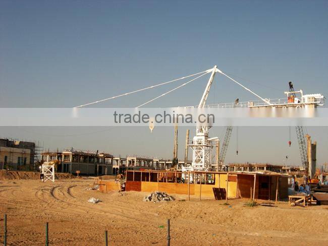 Chinese best tower crane supplier