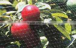plastic BOP netting as Fruit cage/Anti bird net/Plant protection net