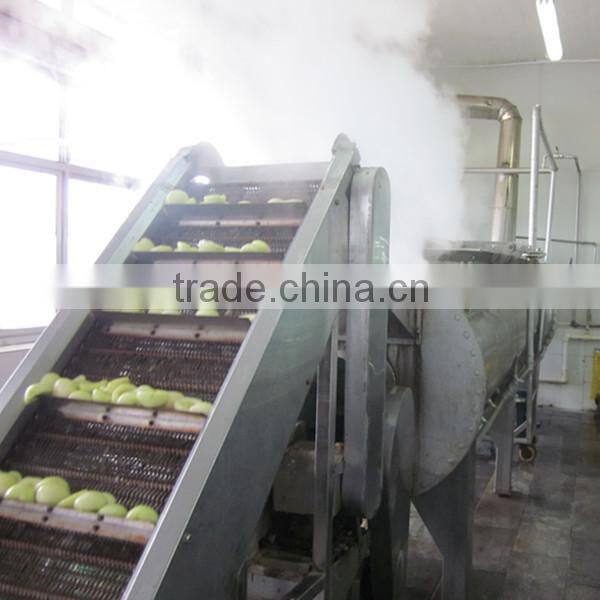 Canned Yellow Peach Halves Fruit In Syrup 3000g