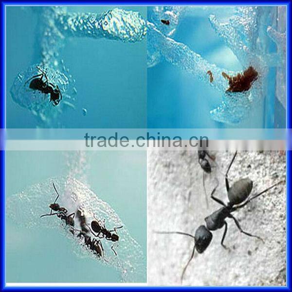 High quality Wholesale Magic Toy Ant Farm for children Education of Ant Worker