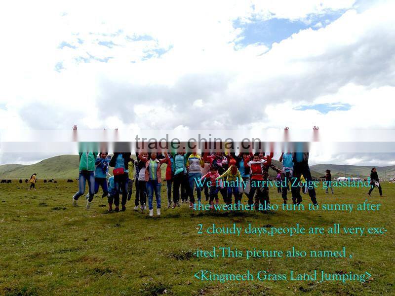 High quality,high efficiency, Petrol Chemical Process Pump API610 OH1 pump type