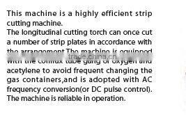 ALMACO Multi-head strip Cutting Machine