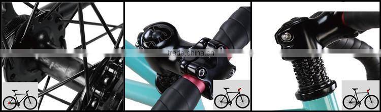 single speed racing bike, fixie bike made in china, fixed gear bicycle with filp flop hub (PW-F700C018)
